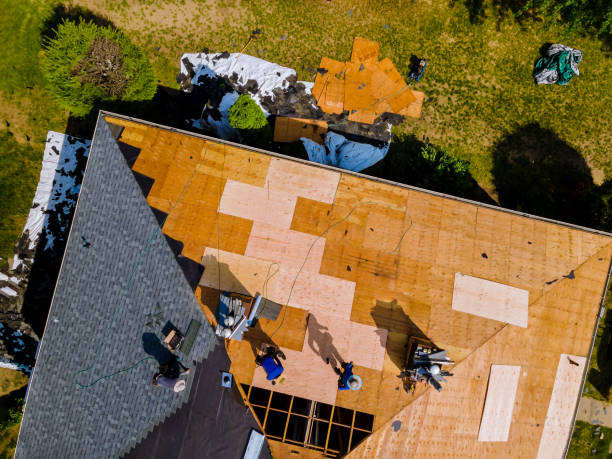 Best Roof Maintenance Services  in Hansville, WA